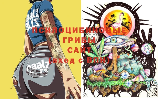 кокаин колумбия Ладушкин